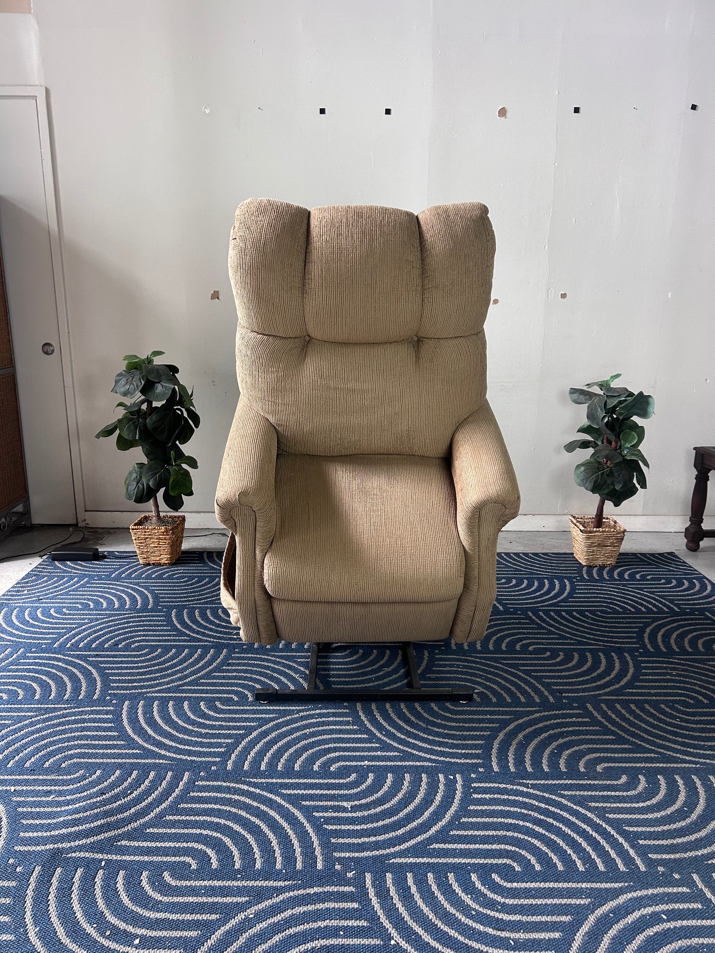 Power Lift/ Recliner Chair